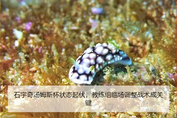 shi-yu-qi-tang-mu-si-bei-zhuang-tai-qi-fu-jiao-lian-zu-lin-chang-tiao-zheng-zhan-shu-cheng-guan-jian-3-297.jpg